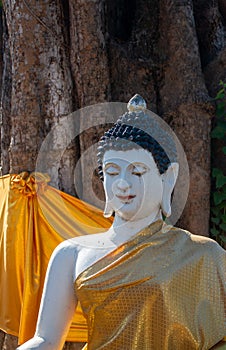 Buddha statue stucco at Wat Pa Daed in Muang Chiang Mai , Thailand