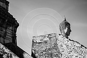 Buddha statue in the temple of asia