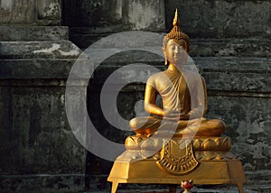 Buddha statue in temple buddhism