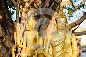 Buddha statue in Thai's temple
