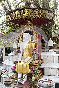 Buddha statue under the tree