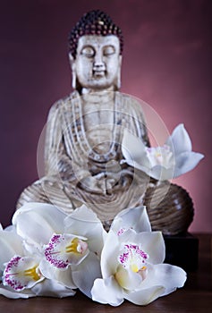 Buddha statue, vivid colors, natural tone