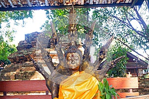 Buddha statue in Wat Chet Yot, Chiang Mai