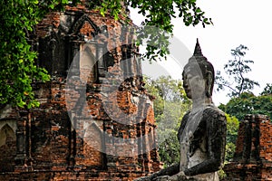 Buddha statue at Wat Maha That, Ayutthaya historical park photo