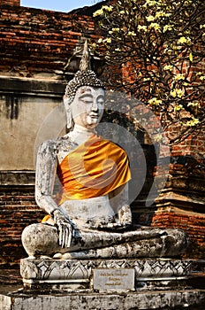 Buddha statue in wat yai chai mongkol