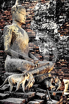 Buddha statue at Wat Yai Chaimongkol Ayutthaya bangkok thailand.