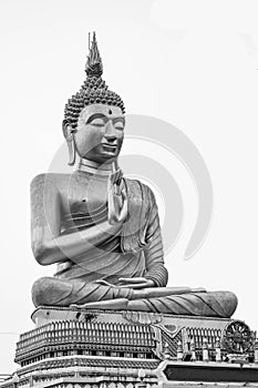 Buddha statue on white background