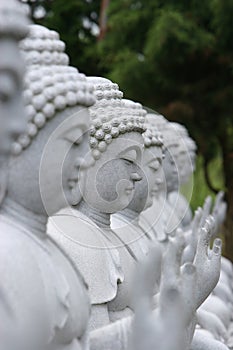 Buddha Statues