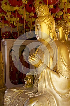 Buddha Statues