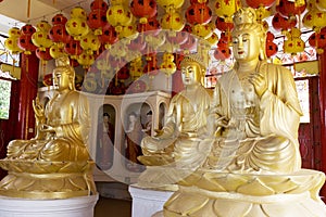 Buddha Statues