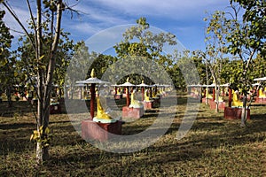 Buddha statues at the Bodhi Ta Htaung, Monywa,Myanmar Burma