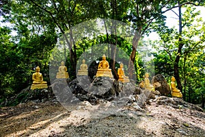 Buddha statues with forest in Phrathat Chom Sin temple