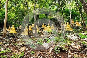 Buddha statues with forest in Phrathat Chom Sin temple