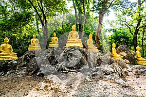 Buddha statues with forest in Phrathat Chom Sin temple