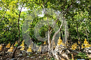 Buddha statues with forest in Phrathat Chom Sin temple