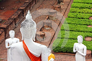 Buddha statues meditating and praying.