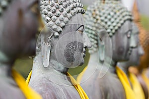 Buddha Statues in Seema Malaka Temple, Colombo, Sri Lanka