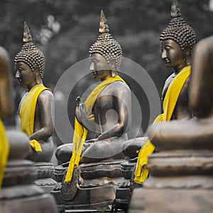 Buddha Statues in Seema Malaka Temple, Colombo, Sri Lanka