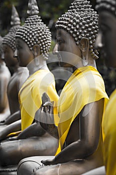 Buddha Statues in Seema Malaka Temple, Colombo, Sri Lanka