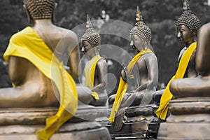 Buddha Statues in Seema Malaka Temple, Colombo, Sri Lanka