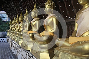 Buddha Statues in Seema Malaka Temple, Colombo, Sri Lanka. Gangarama, golden.