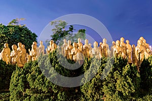 Buddha statues with trees