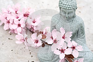 Buddha statuette with blooming sakura branch on concrete background with copy space