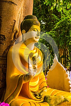 Buddha staue in Darabhirom Forest Monastery