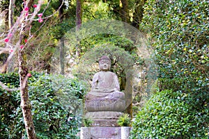 Buddha stone in the Lump around with trees at ryoanji Temple