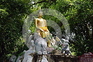 The Buddha Thailand Temple Buddhism God Gold Travel Religion