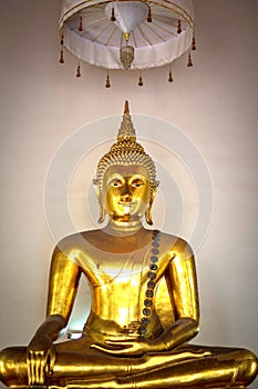Buddha of thailand