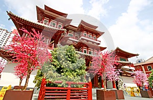 Buddha Tooth Relic Temple in Singapore photo