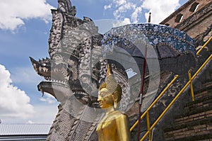 Buddha with umbrella