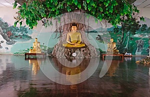 Buddha under holy tree