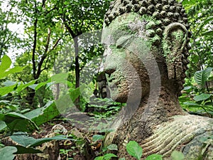 Buddha vestige in green nature at Wat Umong, Chiang Mai, Thailand, green buddha portrait covered with moss