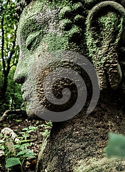 Buddha vestige in green nature at Wat Umong, Chiang Mai, Thailand, green buddha portrait covered with moss