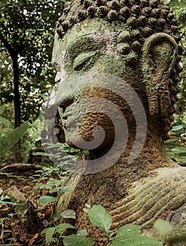 Buddha vestige in green nature at Wat Umong, Chiang Mai, Thailand, green buddha portrait covered with moss photo