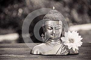 Buddha and white flower. Chinese buddha sculpture and white dahlia flower.