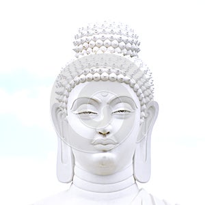 Buddha, worshipper of Nonviolence photo