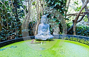 Buddha Zen Garden Statue