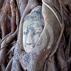 Buddhas Head in Tree Roots, Thailand