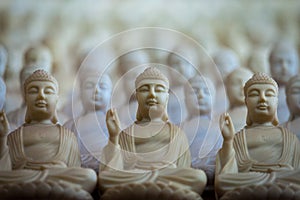 Buddhas