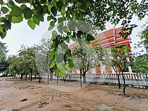 Buddhis temple with relax enviroment, Thailand