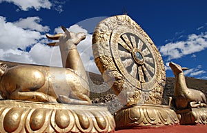 Buddhism Emblem photo