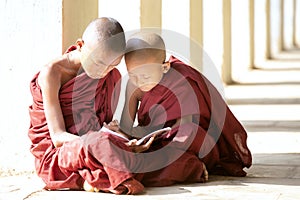 Buddhism novices are reading and study