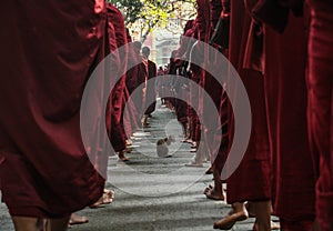 Monks going to eat after collecting their alms, Mandalay, Mandalay region, Myanmar photo