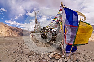 Buddhist Flags flying over Tanglangla Pass, Ladakh Region, India