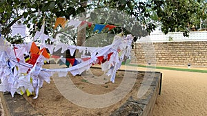 Buddhist hanging flags on the young bodhi tree in the holy old place Jethawana Complex, Anuradhapura, Jaya Sri Maha Bodhi