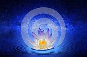 Buddhist lotus flower photo