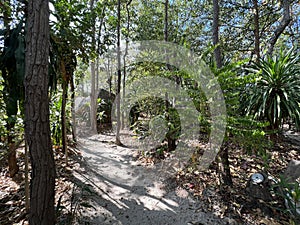 Buddhist meditation retreat locations in the forest, Thailand